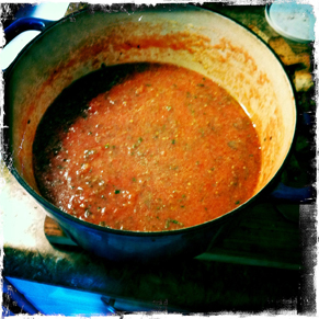 Anise Hyssop Gazpatcho Soup